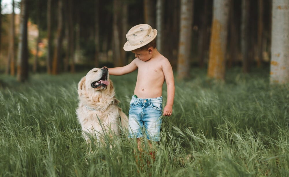 子供と仲良くする犬