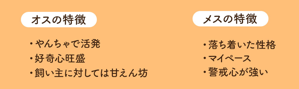 チワワの基本的な性格は？飼いやすい？