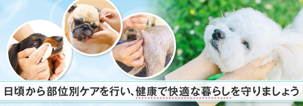 特定部位のケアを徹底する