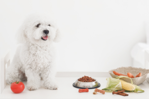 五感を豊かにする健康的な食事