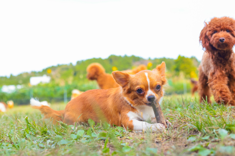 安全・清潔・快適な居住環境