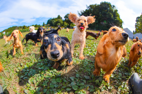 自然豊かで低ストレスな運動環境