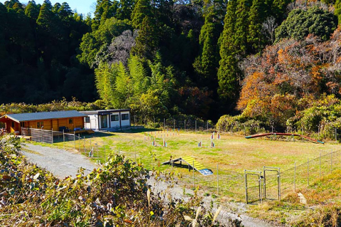 株式会社フローエンスの役割