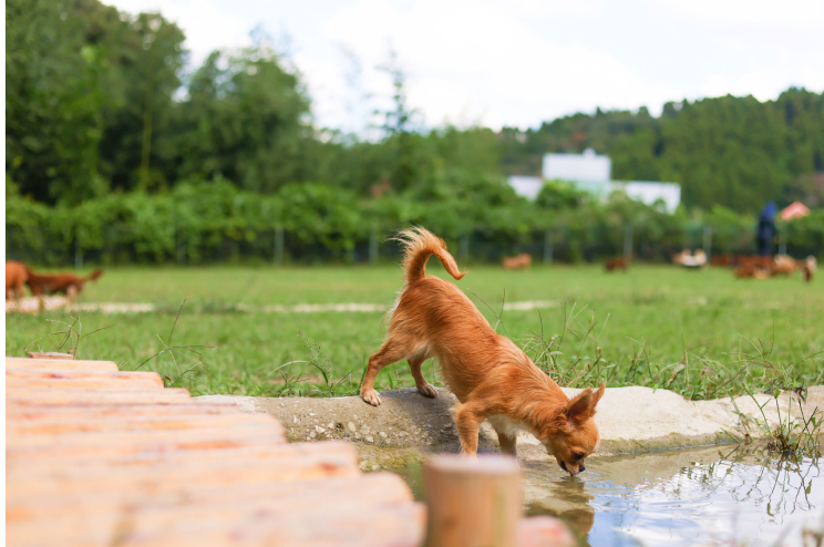 各ブリーディング場・見学施設
