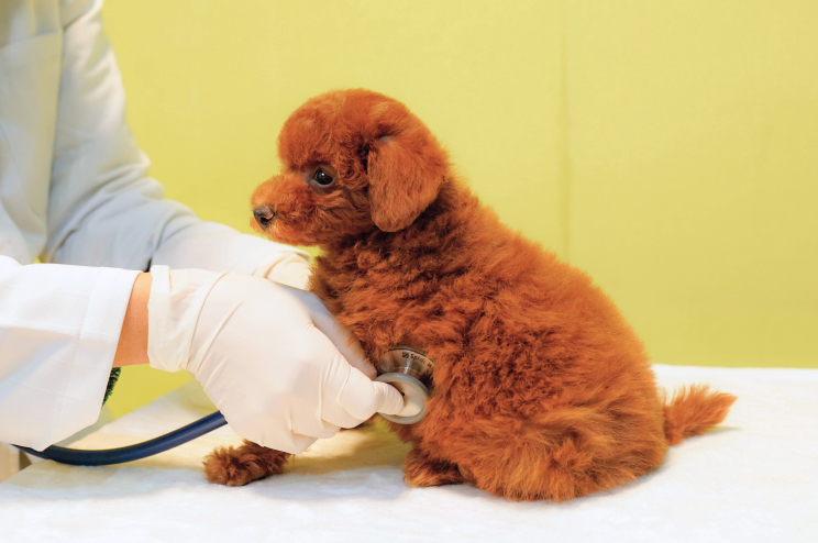 各ブリーディング場・見学施設