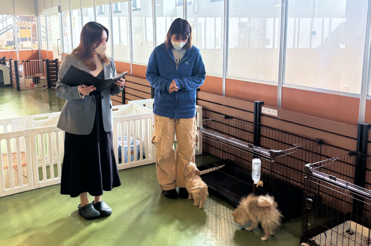 株式会社フローエンスの役割