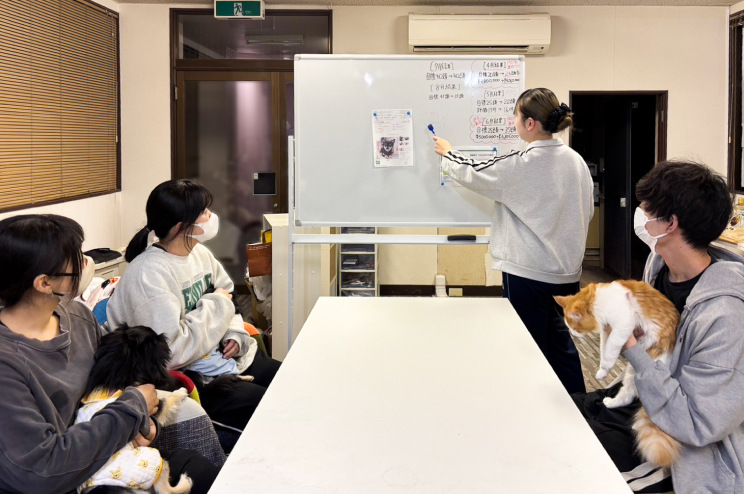 株式会社フローエンスの役割