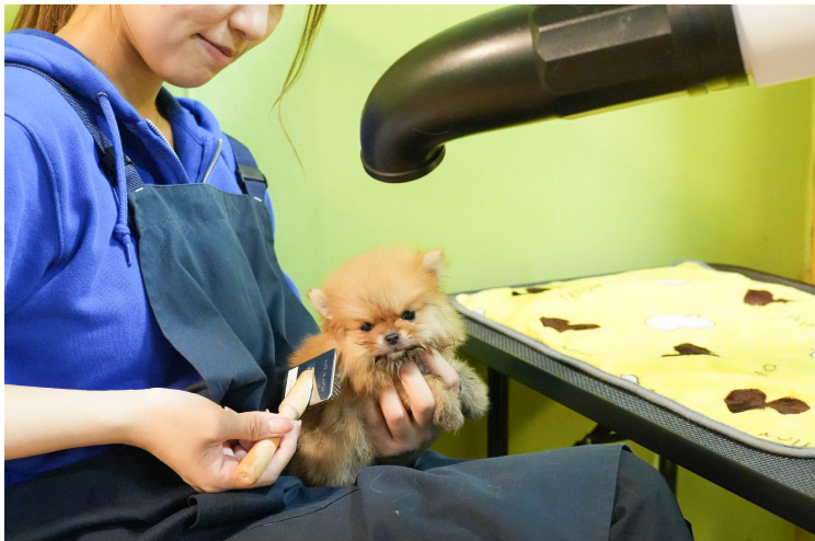 株式会社フローエンスの役割