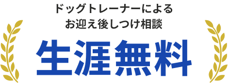 子犬を探す