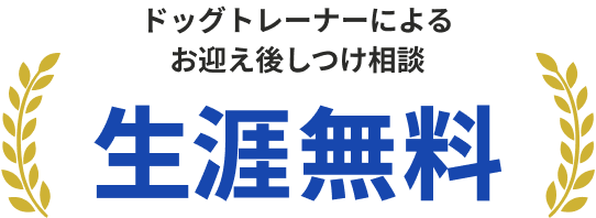 この子となら、毎日がいとしいあなたに寄り添う「うちの子」がきっと見つかる