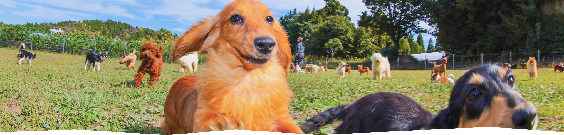 フローエンスの飼育方針