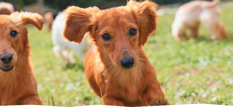 フローエンスとは