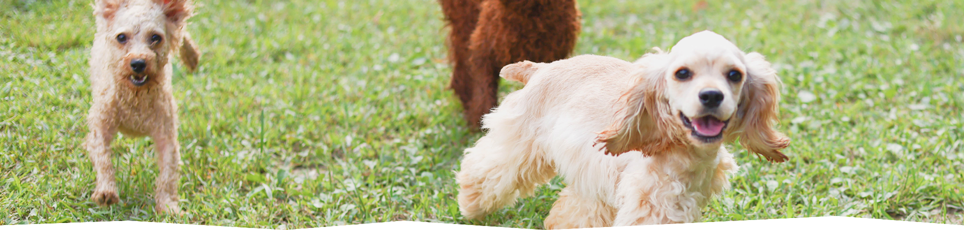 フローエンスが選ばれる理由
