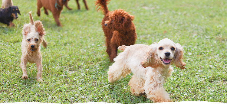 フローエンスが選ばれる理由