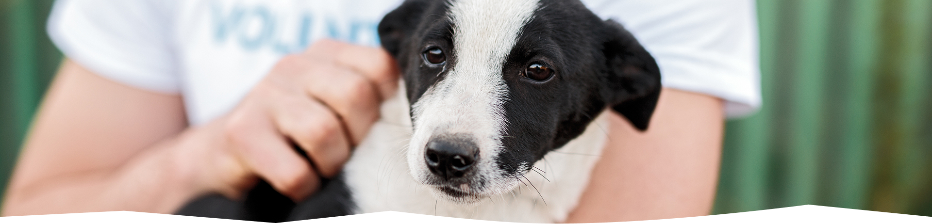 お迎えまでの流れ