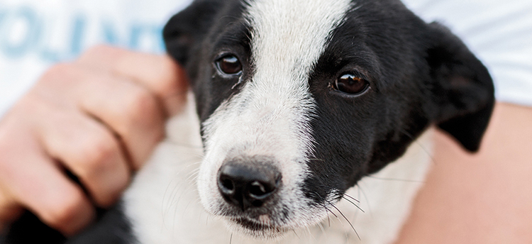 お迎えまでの流れ