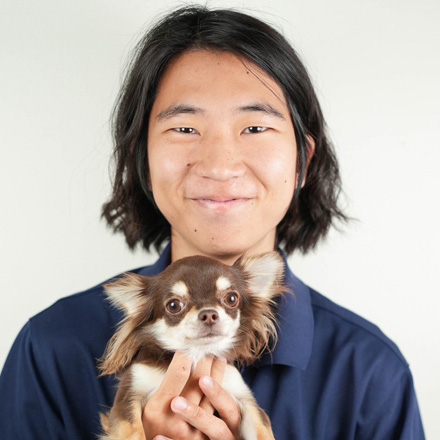 トイ・プードル | 男の子 | レッド | 2025年12月15日（ID:dog-30002700）