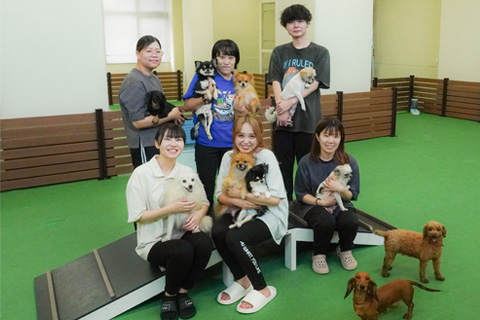 パピーヴィレッジ アトロ