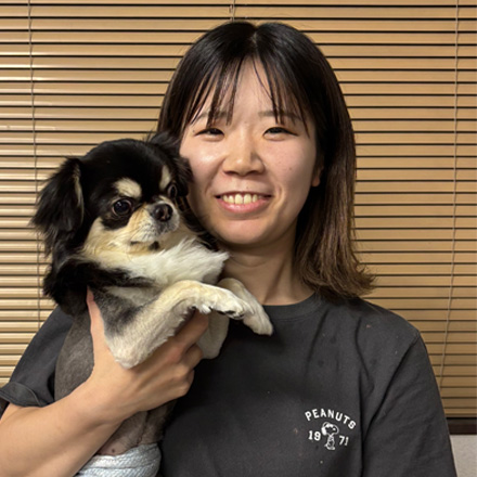 チワワ(ロング) | 女の子 | クリーム＆ホワイト | 2026年2月8日