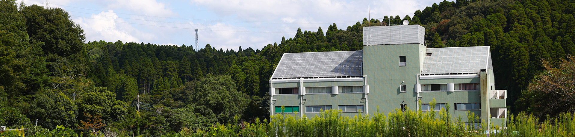 コスモスファーム