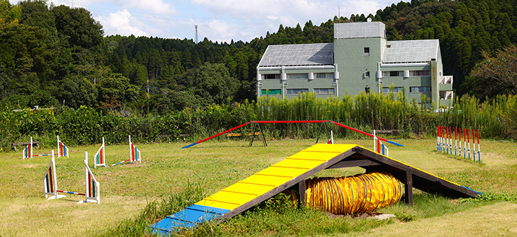 コスモスファーム