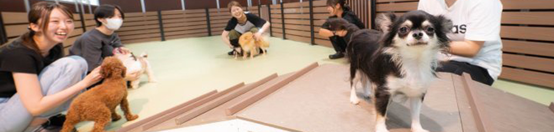 パピーヴィレッジ シラコバト