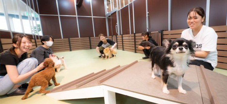 パピーヴィレッジ シラコバト