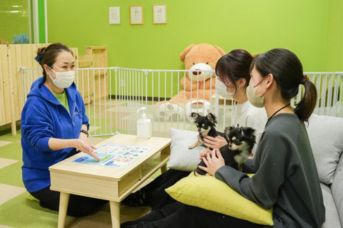 パピーヴィレッジ コノハズク