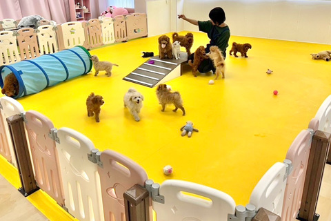 プレスクール ロドス