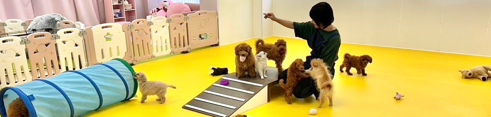 プレスクール ロドス