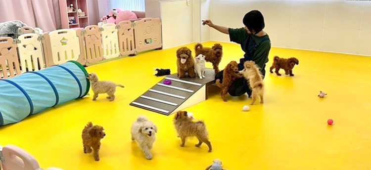 プレスクール ロドス