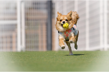 Test voice 10Test voice 10Test voice 10Test voice 10Test voice 10Test voice 10Test voice 10Test voice 10Test voice 10Test voice 10Test voice 10Test voice 10Test voice 10Test voice 10Test voice 10Test voice 10Test voice 10Test voice 10Test voice 10Test voice 10Test voice 10Test voice 10Test voice 10Test voice 10Test voice 10Test voice 10Test voice 10Test voice 10Test voice 10Test voice 10Test voice 10Test voice 10