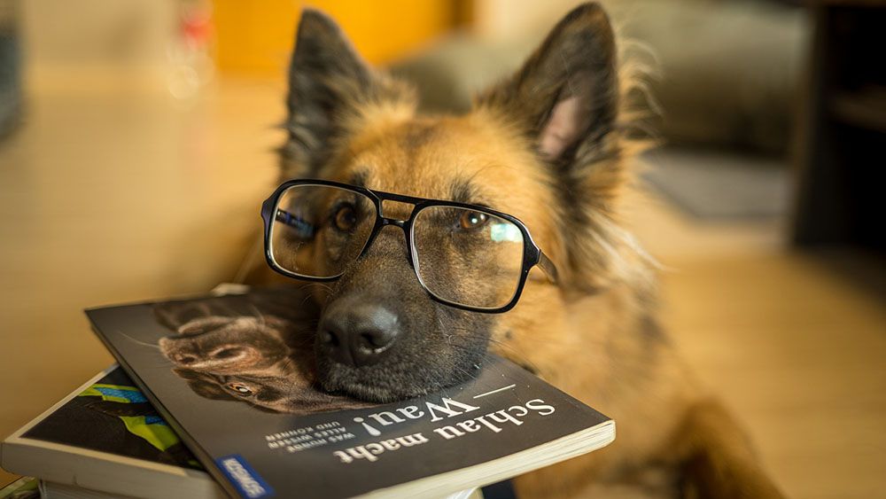 【知識】災害時に落ち着いて行動出来るために覚えてほしいこと2１選