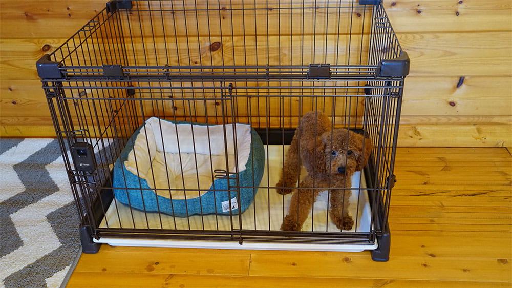 サークル内で落ち着きがないのはなぜ？居心地の良い環境作りのポイント