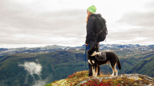【避難】災害発生時に愛犬を守る避難行動のコツは日常生活で養える
