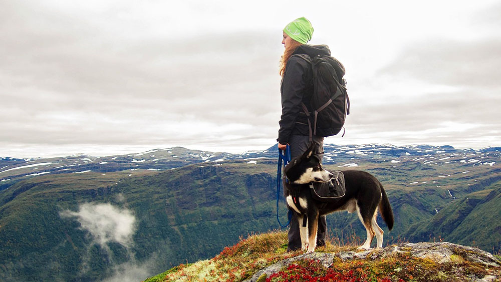 【避難】災害発生時に愛犬を守る避難行動のコツは日常生活で養える