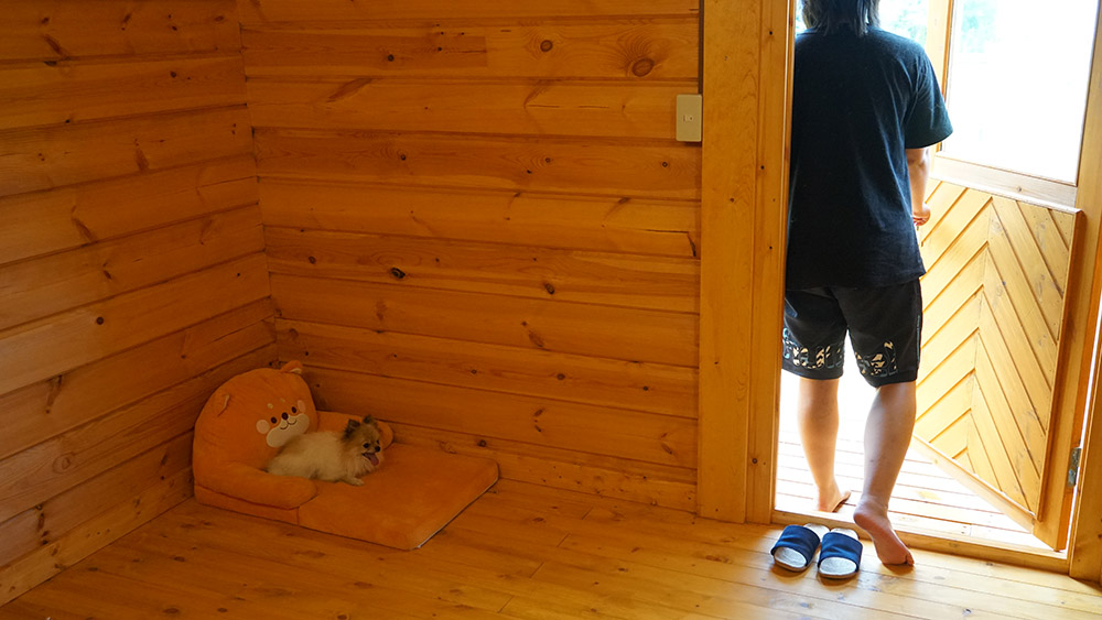 【共働き】犬を長時間お留守番させる時のコツと慣れさせ方について