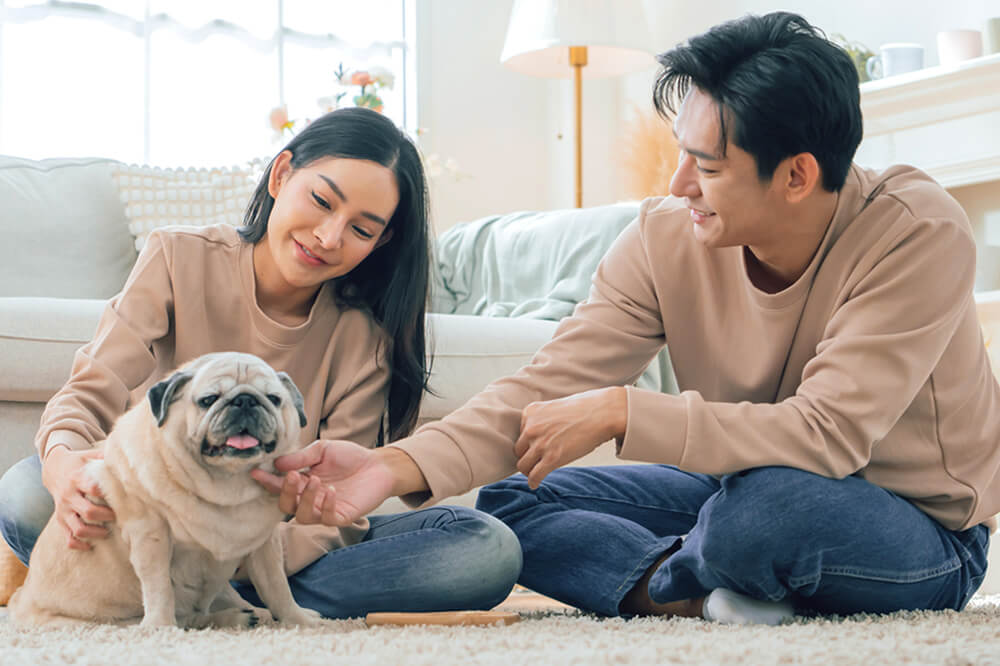 共働きでも犬は飼える?おすすめの犬種や留守番の工夫ポイントも紹介