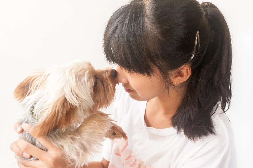 臭くないおすすめの犬種5選!臭いを抑えるためのお世話のコツも紹介