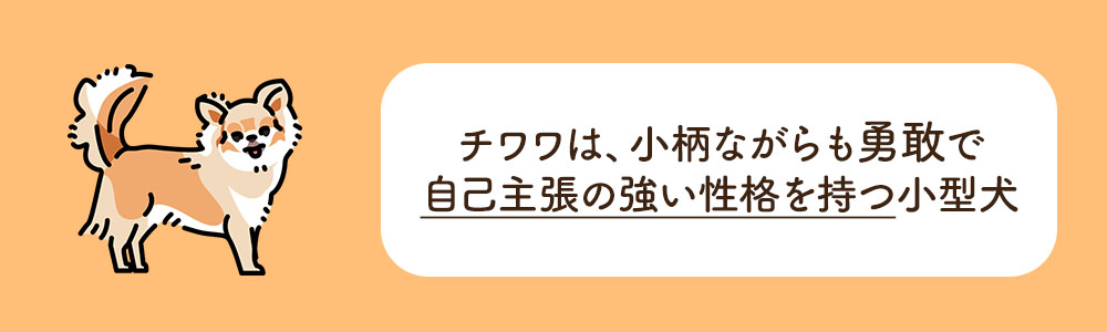 チワワの基本的な性格は?飼いやすい?