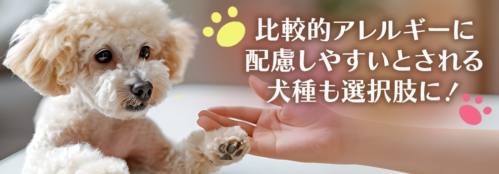 抜け毛が少ない犬アレルギーでも飼える犬6選