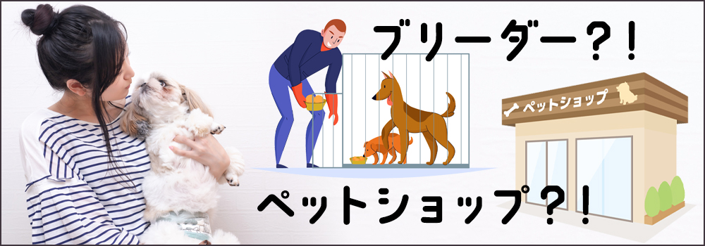 子犬を迎えるならペットショップとブリーダーどっちがいい?