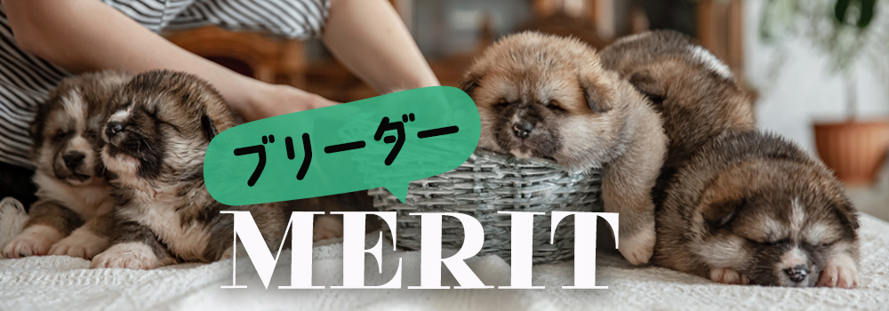 ブリーダーから子犬を購入するメリット