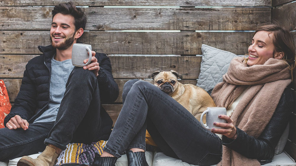 犬は家族内で順位をつけたがる？真相をドックトレーナーに聞いてみた