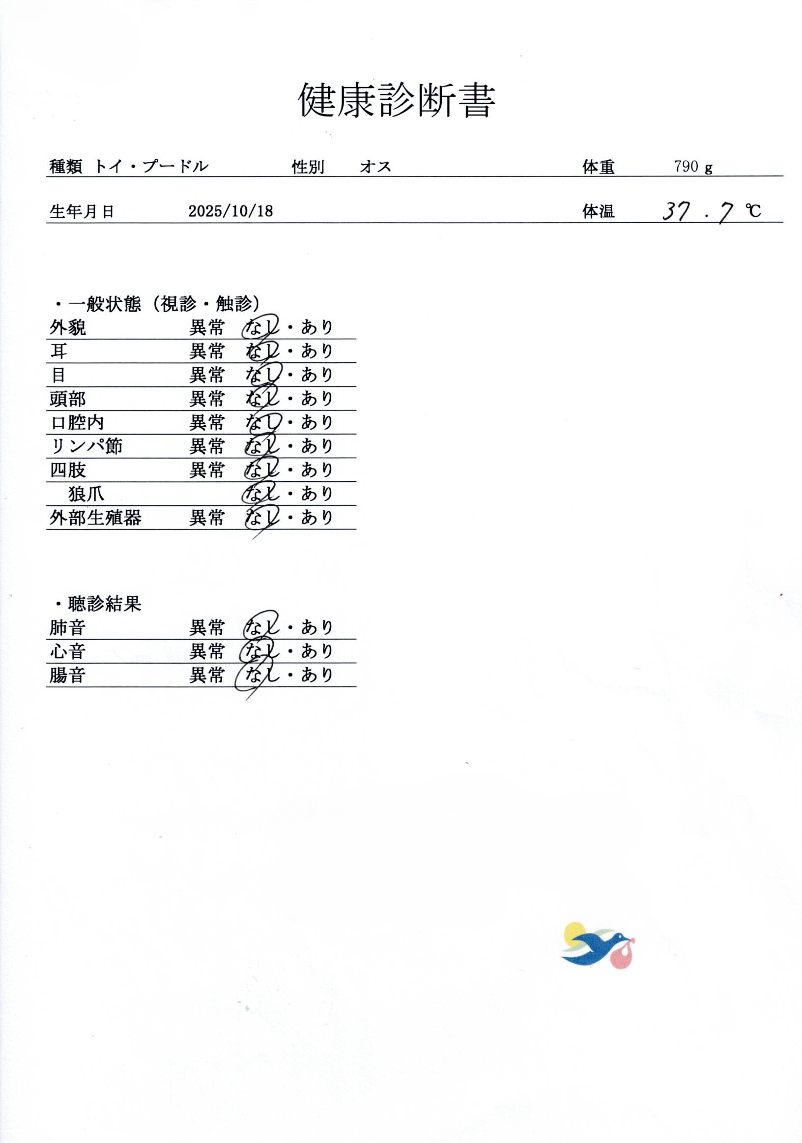 トイ・プードル | 男の子 | レッド | 2025年10月18日