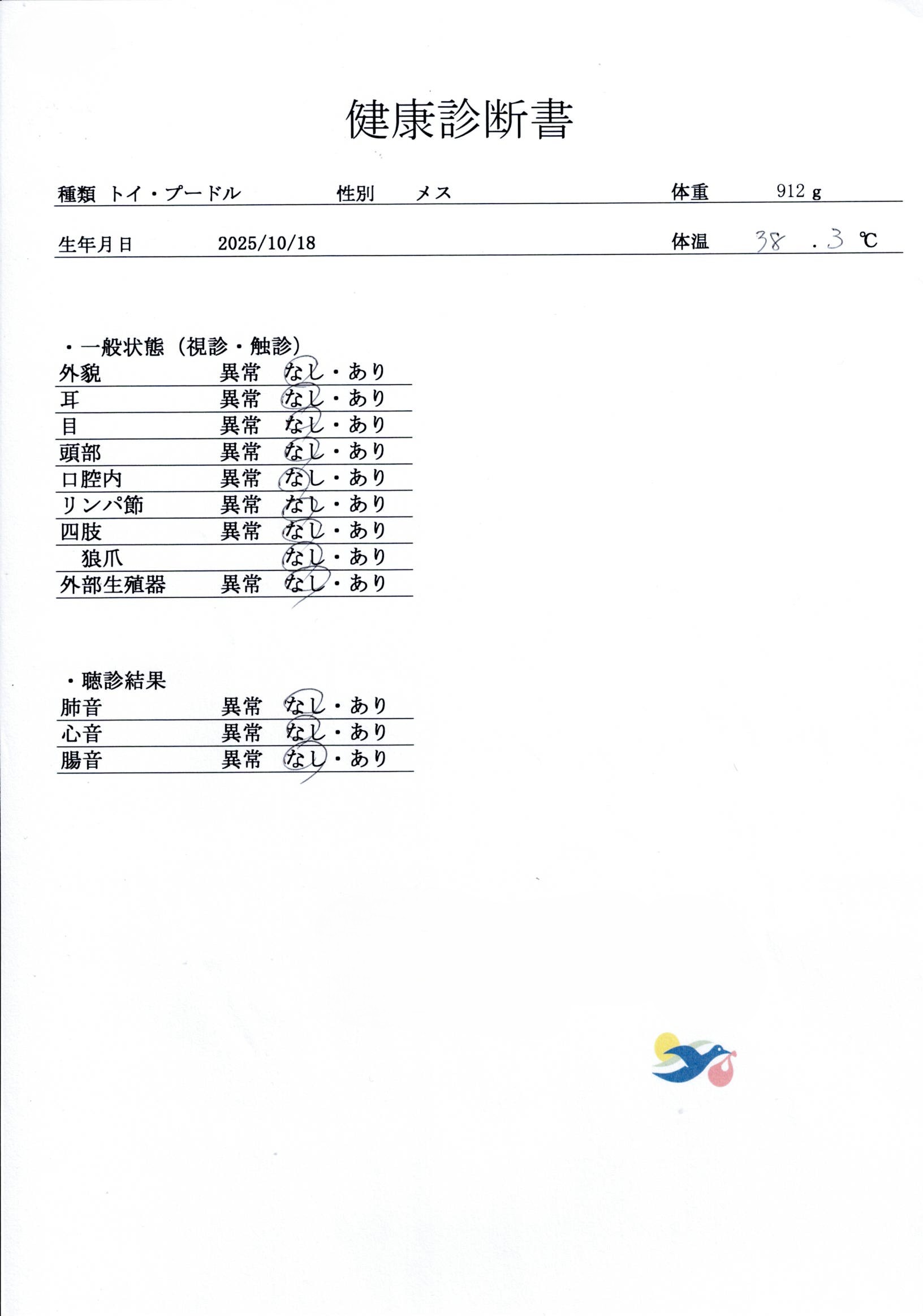 トイ・プードル | 女の子 | レッド | 2025年10月18日