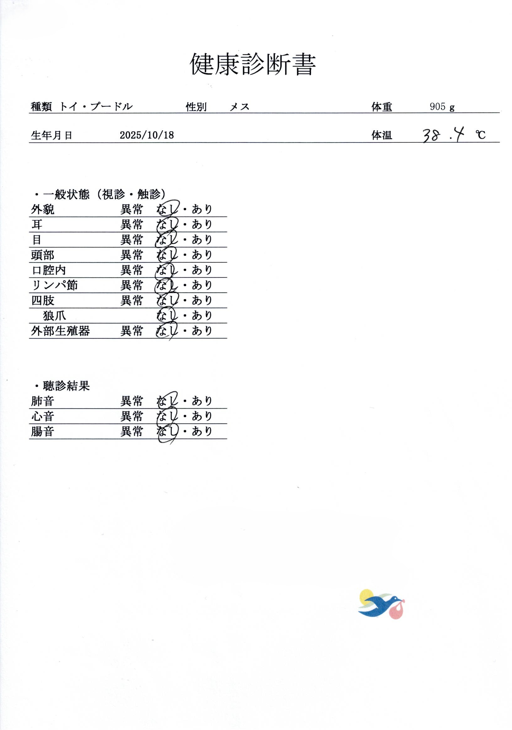 トイ・プードル | 女の子 | レッド | 2025年10月18日