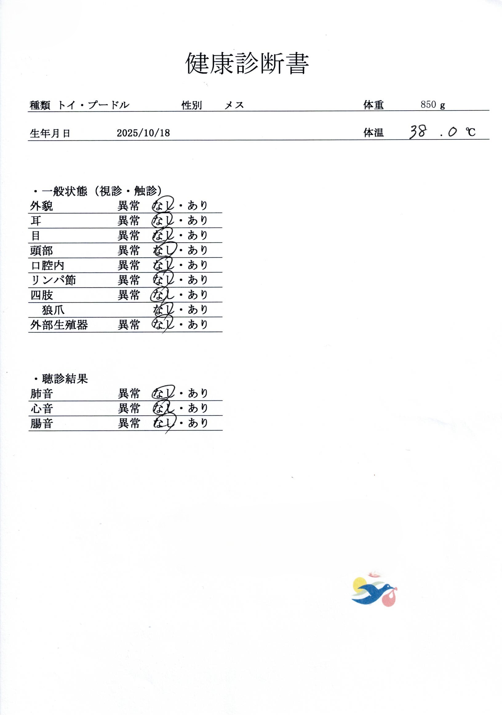 トイ・プードル | 女の子 | レッド | 2025年10月18日