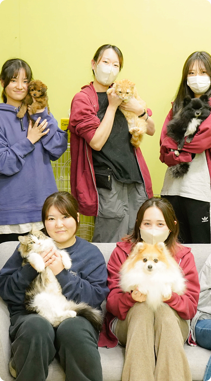 フローエンスなら、たくさんの子犬とふれあい、出会える。新しい家族との確かな出会いと暮らしをサポートします。