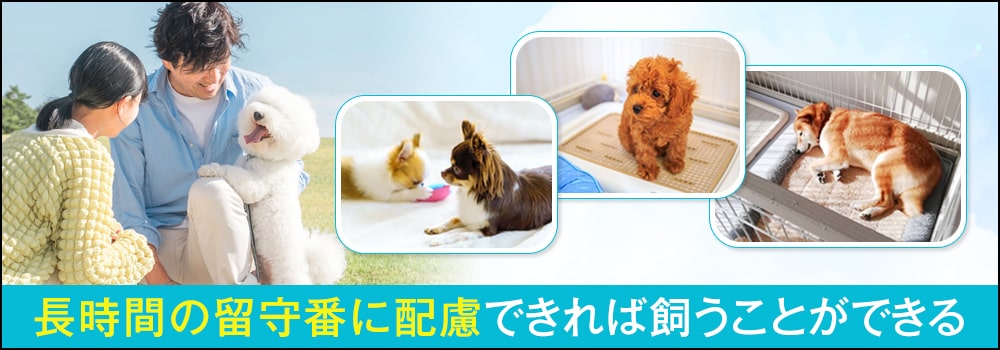 共働きでも犬は飼える?